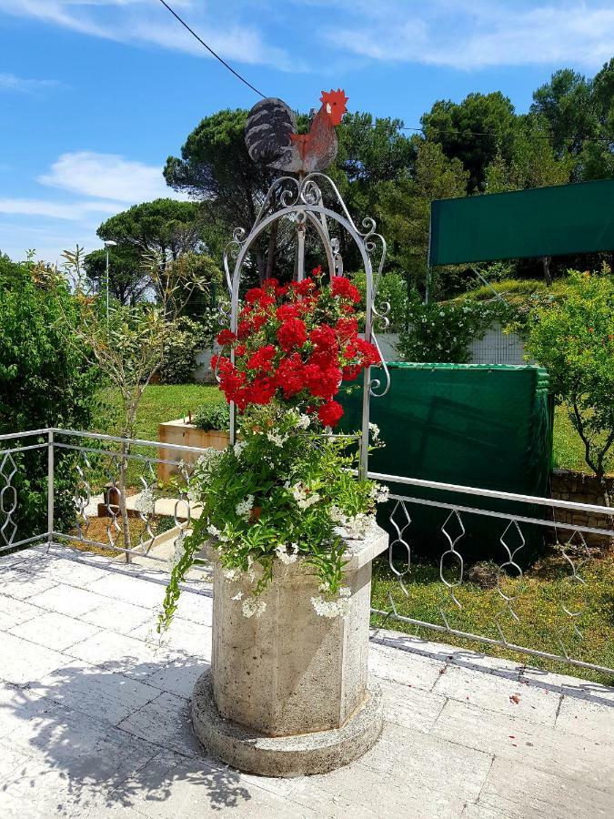 Apartments Lori Poreč Dış mekan fotoğraf