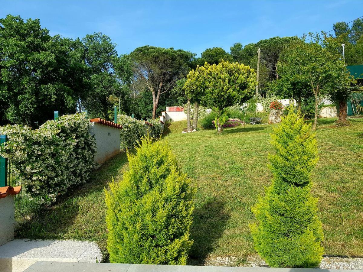 Apartments Lori Poreč Dış mekan fotoğraf
