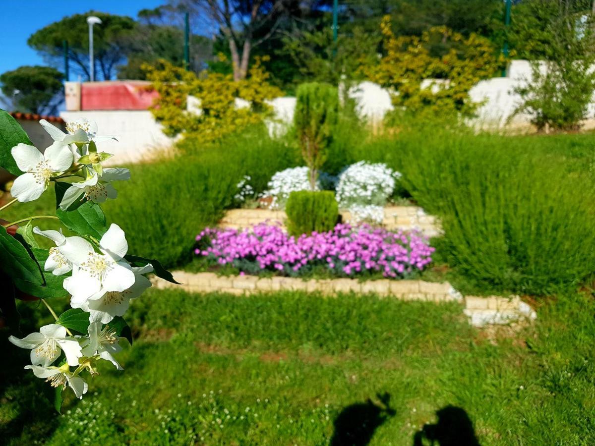Apartments Lori Poreč Dış mekan fotoğraf